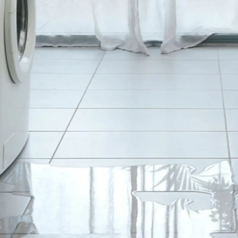 Appliance Leak Cleanup in Lindale, GA